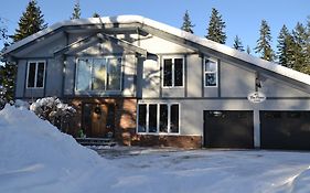 The Pines Bed And Breakfast 2*